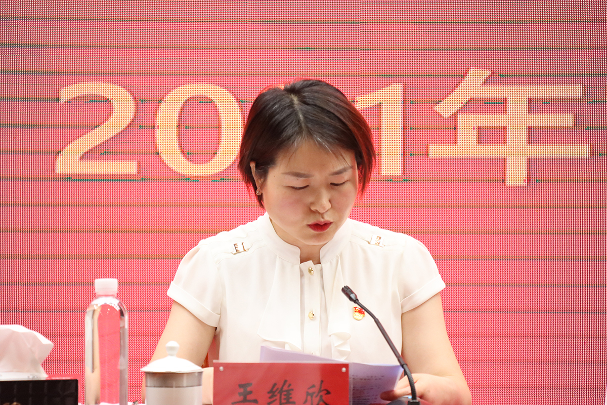 王维欣汇报上半年工作情况.JPG